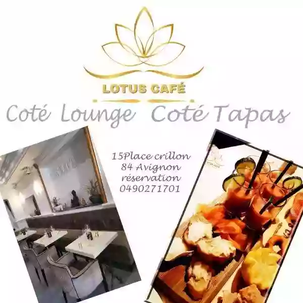 Le Restaurant - Lotus Café - Restaurant Avignon - Restaurant Palais des Papes Avignon