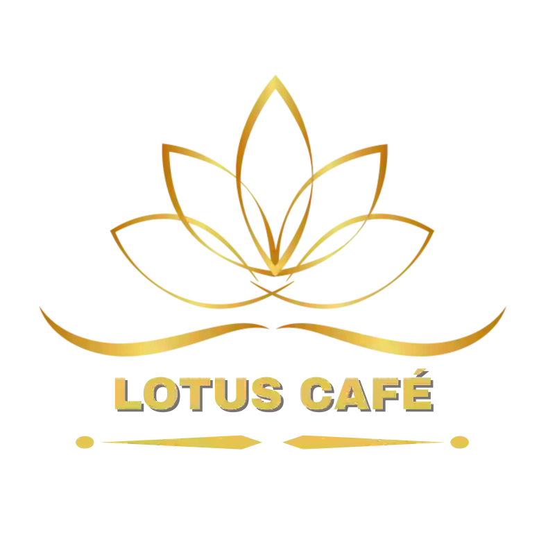 Lotus Café - Restaurant Avignon - restaurant lounge avignon